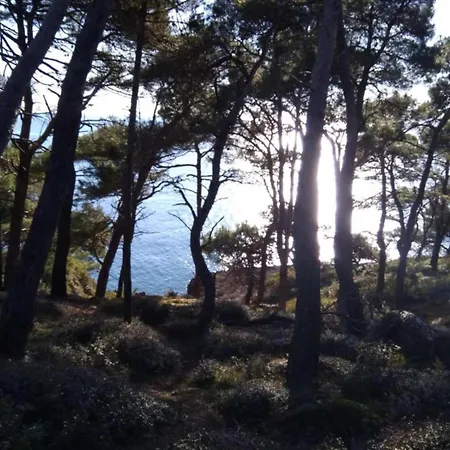 In Near Golf Course Pula