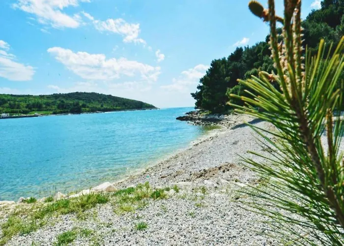 In Near Golf Course *