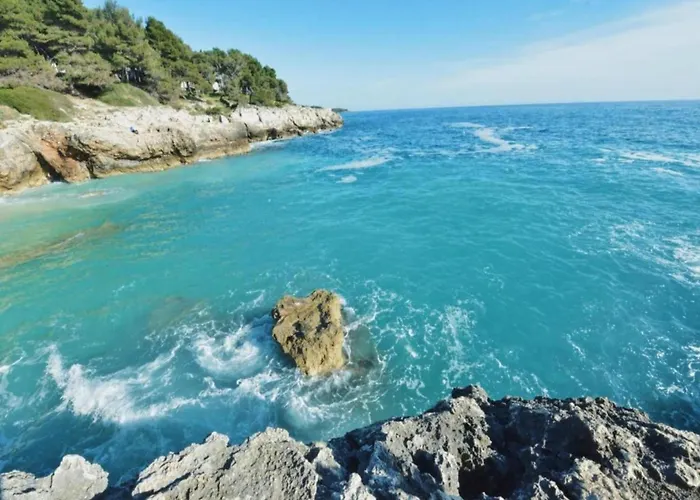 Apartman In Near Golf Course *