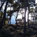 In Near Golf Course Pula