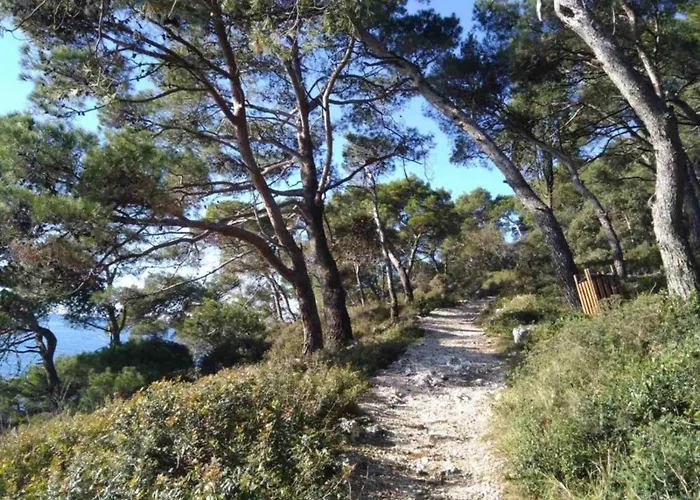 In Near Golf Course * 풀라
